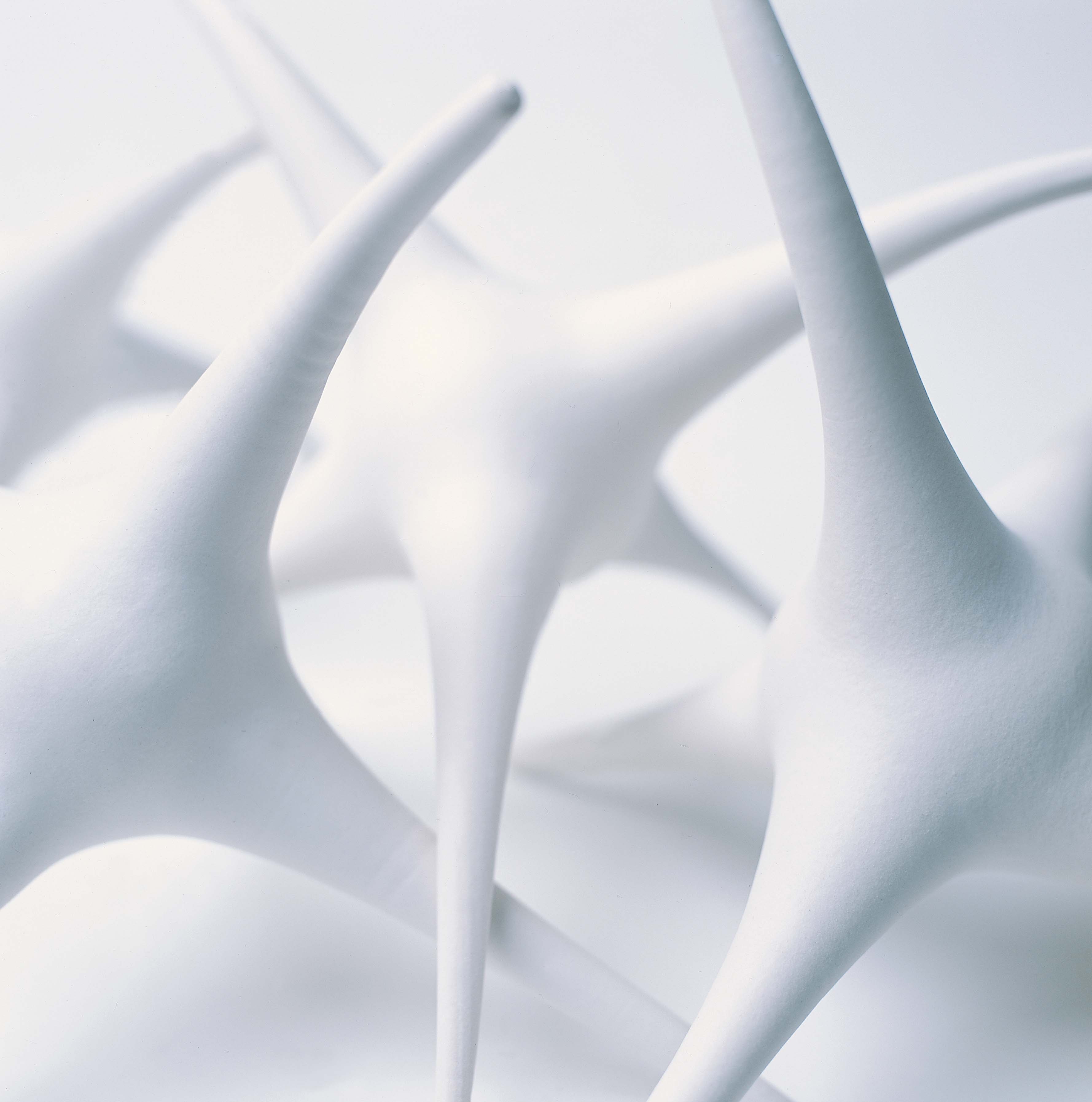 strange attractor closeup